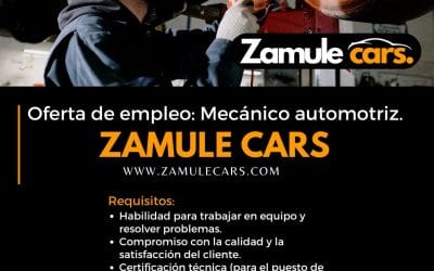 Oportunidad de Empleo en Zamule Cars