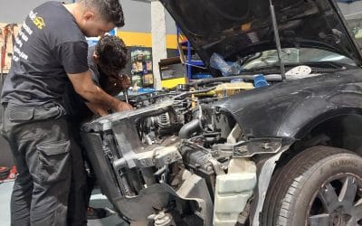 Mecánica - Cambio kit de distribución en Palma - Volkswagen