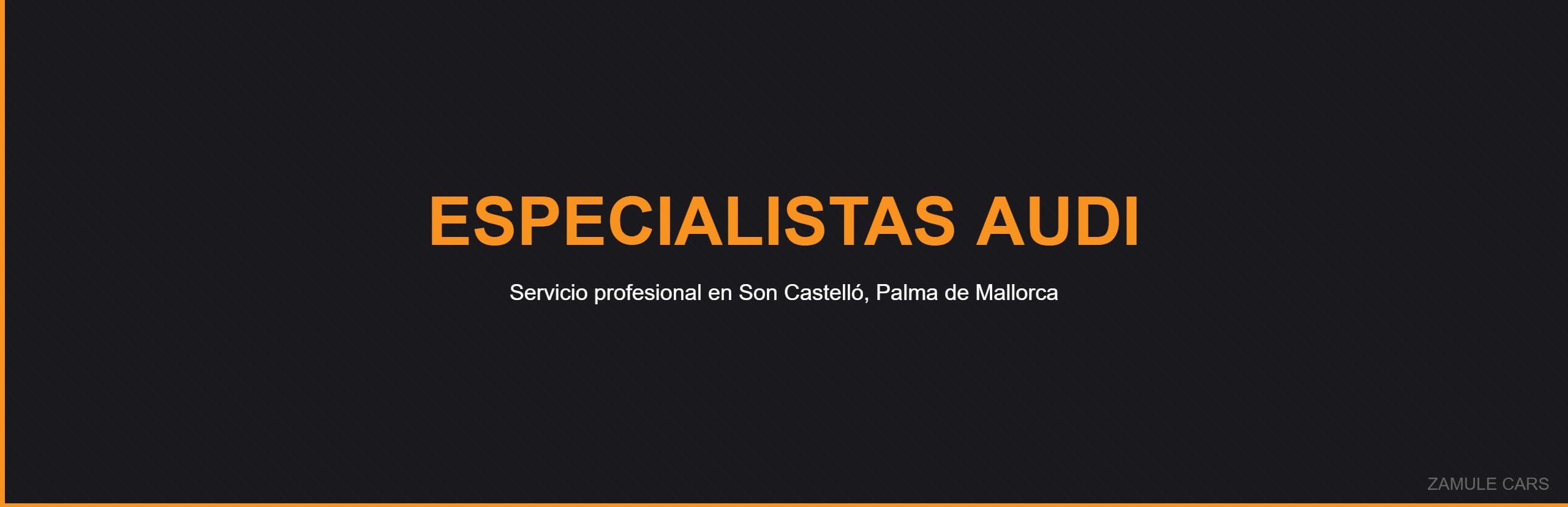 Especialistas Audi - Zamule Cars