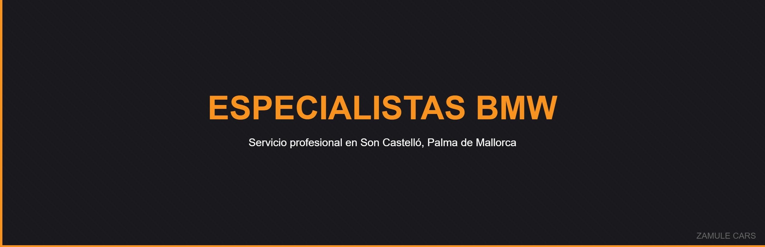 Especialistas BMW - Zamule Cars