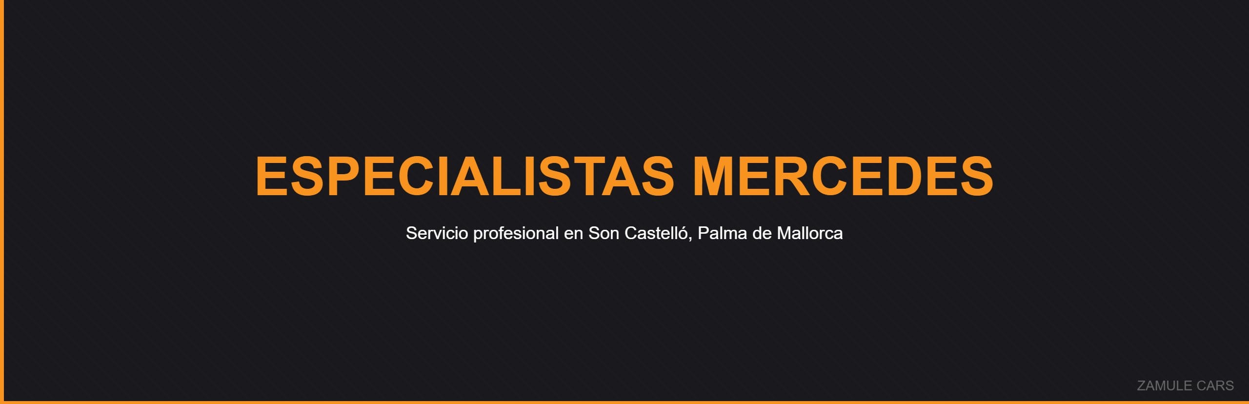 Especialistas Mercedes - Zamule Cars