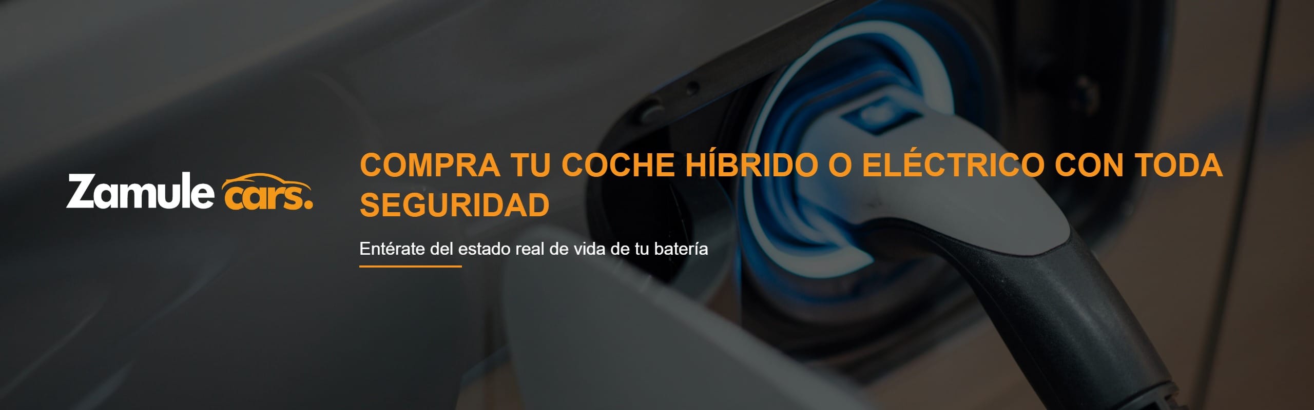 Certificado profesional de batería híbrida y eléctrica - Zamule Cars Mallorca